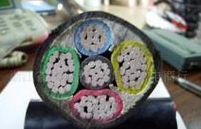 江南交聯(lián)線纜 低壓鋁芯電力電纜產(chǎn)品系列高清圖解